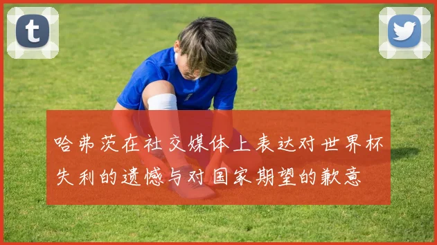 哈弗茨在社交媒体上表达对世界杯失利的遗憾与对国家期望的歉意