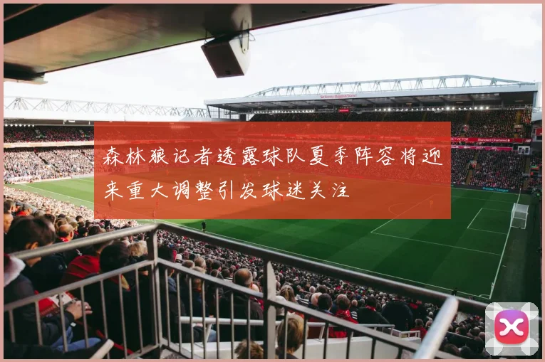 森林狼记者透露球队夏季阵容将迎来重大调整引发球迷关注