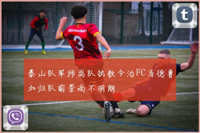 泰山队军师离队执教今治FC马德鲁加归队前景尚不明朗